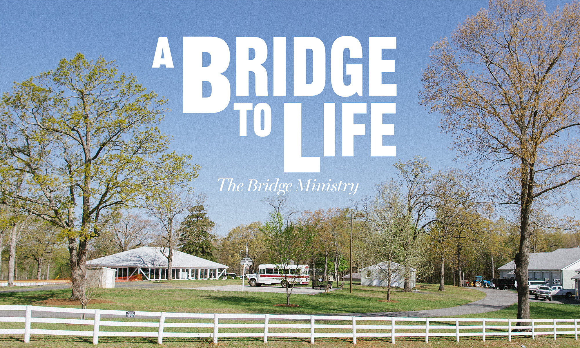 A Bridge to Life